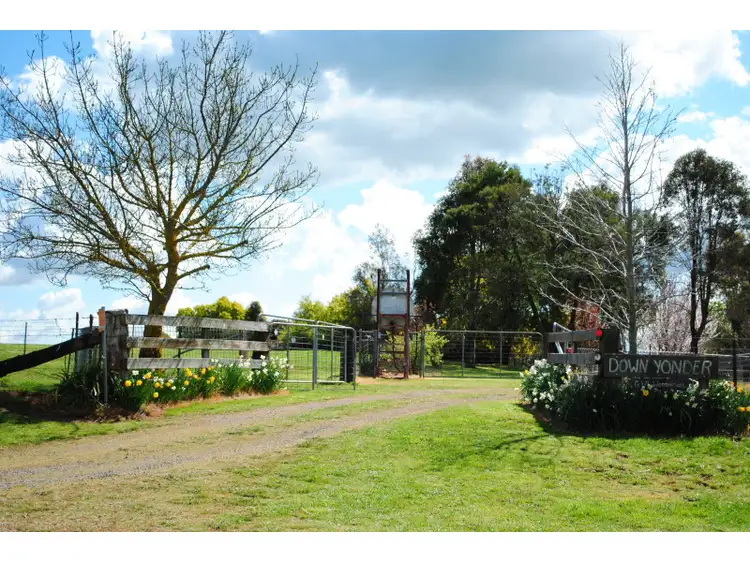 Second view of Homely rural property listing, 296 Wilsons Lane, Forest Reefs NSW 2798