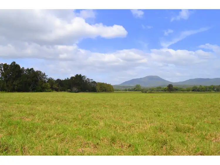 1456 Rollands Plains Road, Rollands Plains NSW 2441