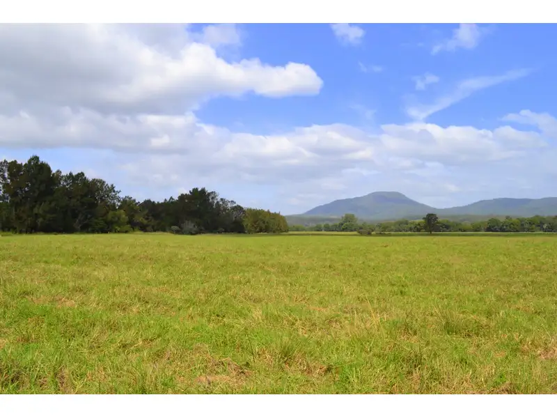 Main view of Homely rural property listing, 1456 Rollands Plains Road, Rollands Plains NSW 2441