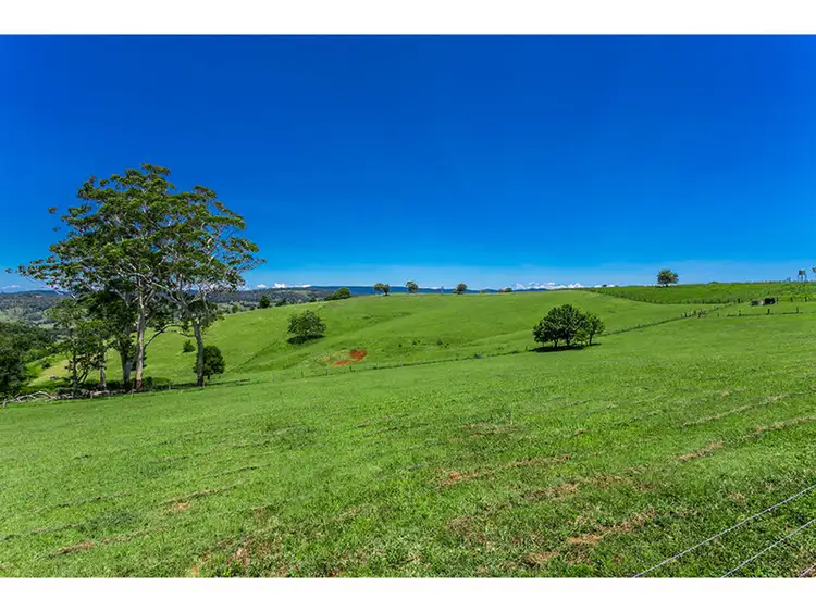 Second view of Homely rural property listing, 236 Koonorigan Road, Koonorigan NSW 2480
