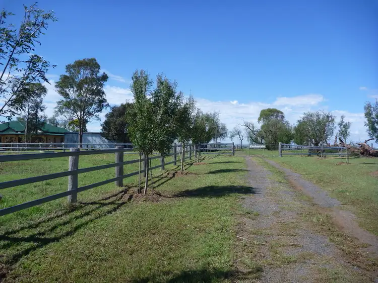 Seventh view of Homely rural property listing, 528 Mt Sibley Road, Nobby QLD 4360