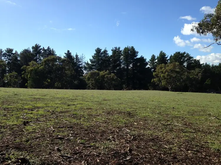 Seventh view of Homely rural property listing, 10, LOT 10 Millington Road, Williamstown SA 5351