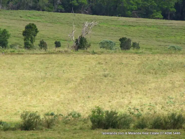 Seventh view of Homely rural property listing, LOT F211, Lot 2 Heidke Road, Malanda QLD 4885
