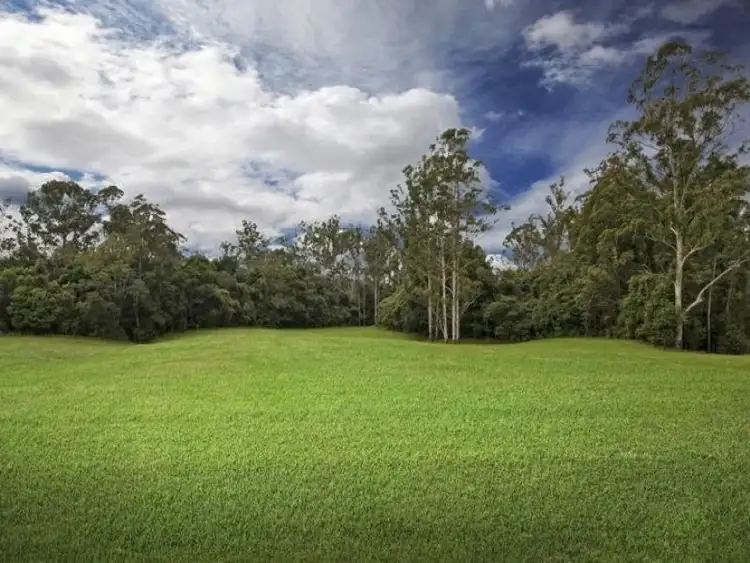 Seventh view of Homely rural property listing, 36 Phil Tunks Road, Dooralong NSW 2259