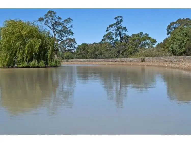 Second view of Homely rural property listing, 320 Partridges Road, Hamilton VIC 3300