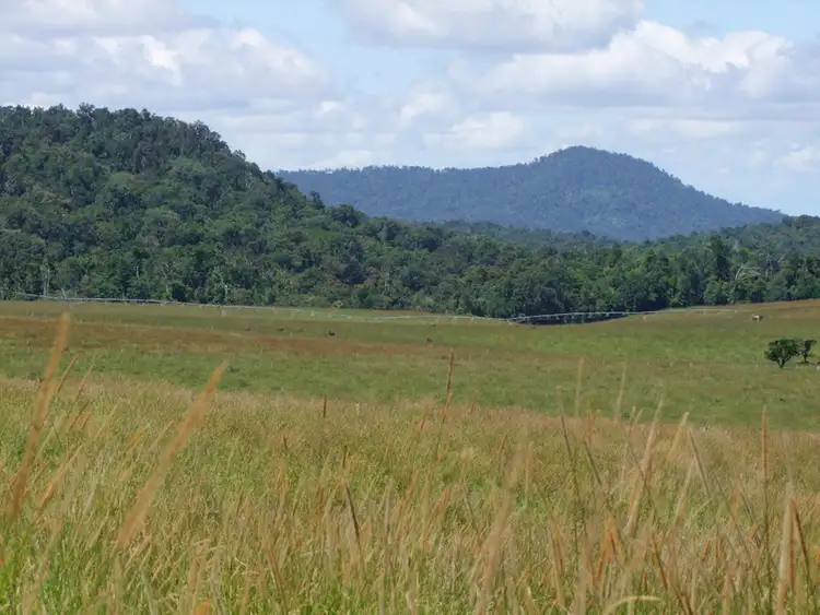 Second view of Homely rural property listing, F1145 133 Glendinning Road, Ravenshoe QLD 4888