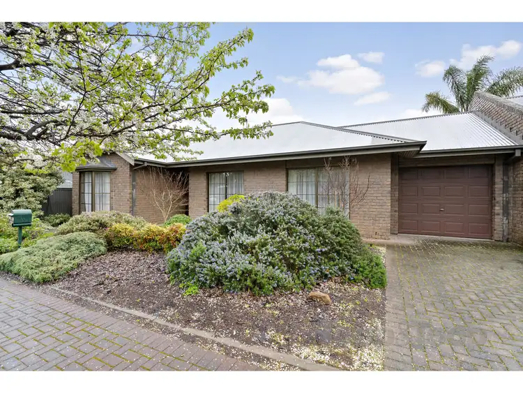 Main view of Homely unit listing, 2/8 Ellerslie Street, Kensington Gardens SA 5068