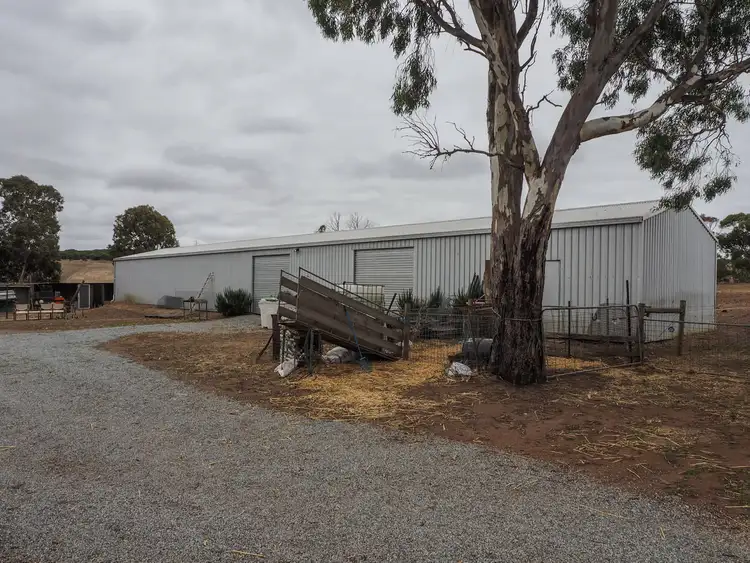 Third view of Homely rural property listing, 15 McLeod Lane, Whites Flat SA 5607