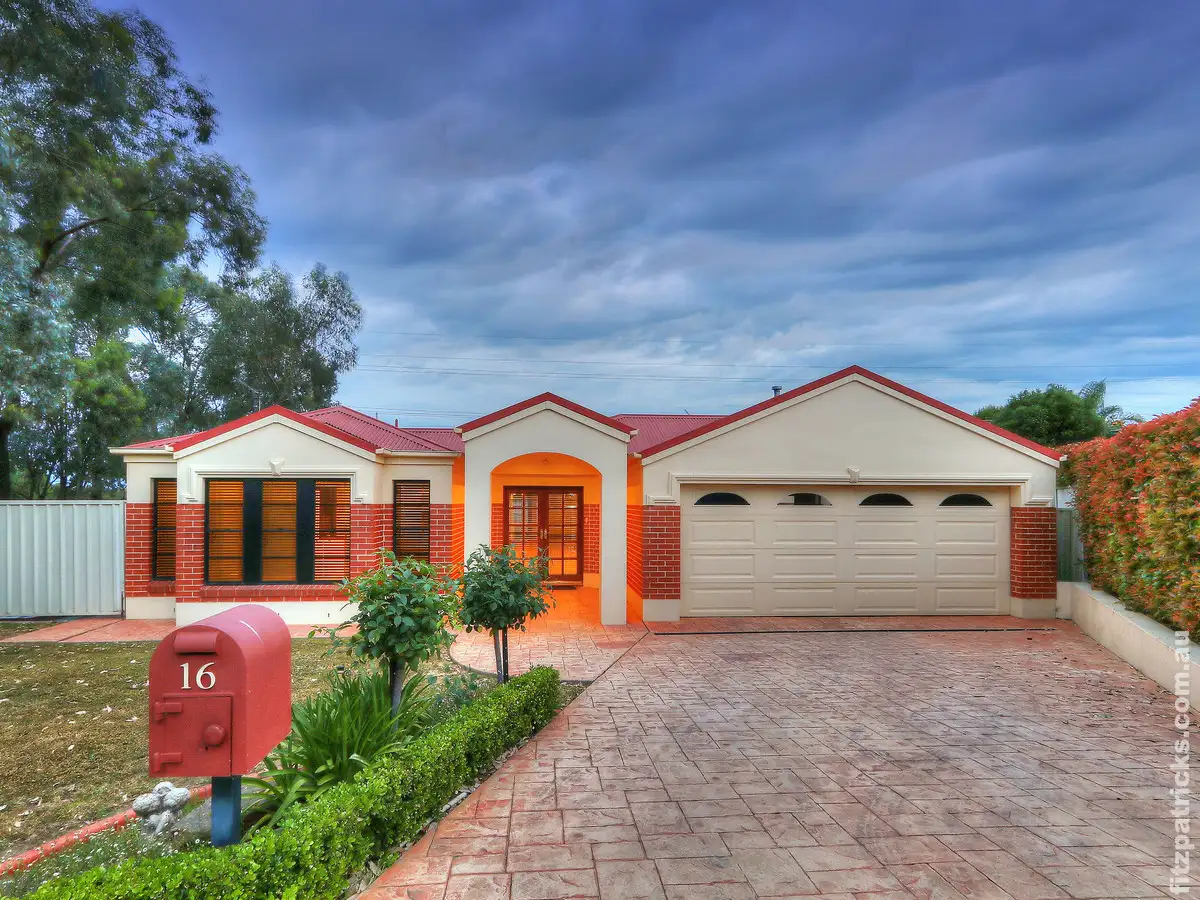 Main view of Homely house listing, 16 Delvin Place, Kooringal NSW 2650