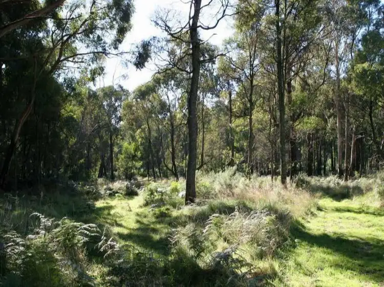 Fifth view of Homely house listing, 4540 Mansfield Whitfield Road, Mansfield VIC 3722