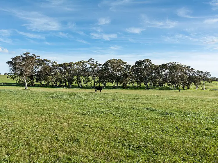 Fifth view of Homely rural property listing, 3338 Davis Road, Macclesfield SA 5153