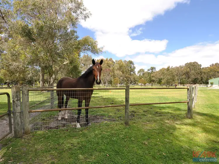 Second view of Homely house listing, 81 Conductor Retreat, Mariginiup WA 6078