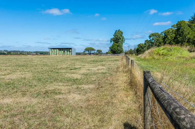 Seventh view of Homely rural property listing, 765 Tomahawk Creek Road, Irrewillipe VIC 3249
