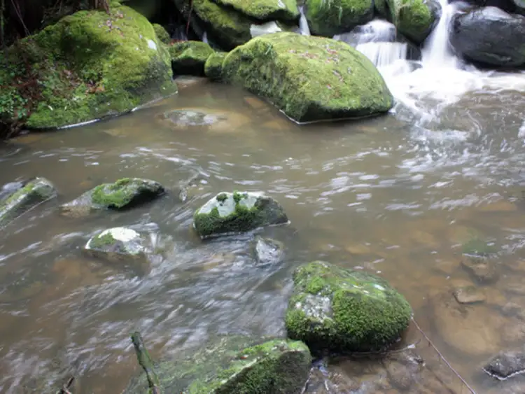 Third view of Homely rural property listing, 630 Dehnerts Track, Beech Forest VIC 3237