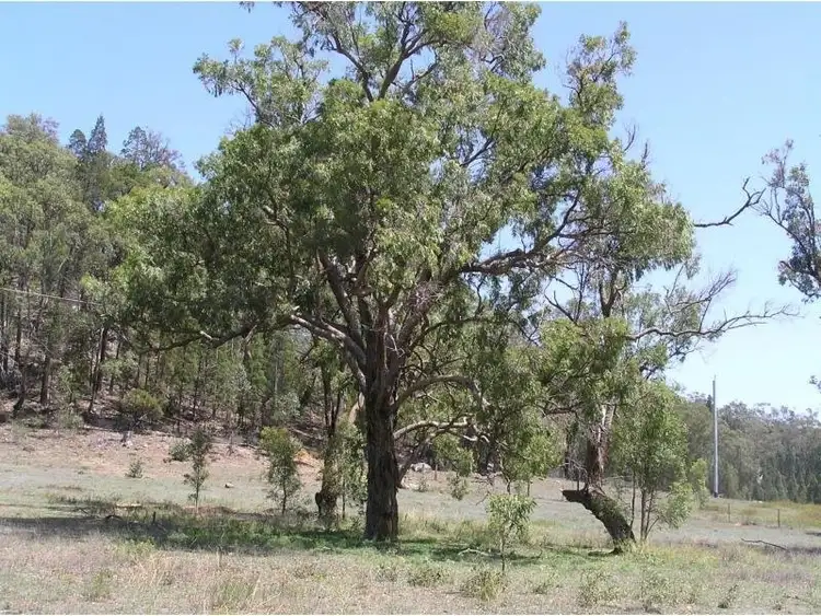 Fourth view of Homely rural property listing, L6 Port Macquarie Road, Rylstone NSW 2849