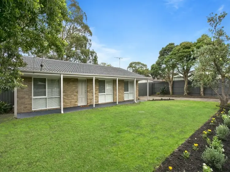 53 Carramar Street, Mornington VIC 3931