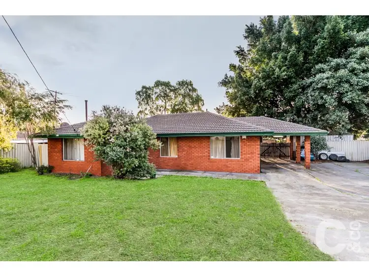 Main view of Homely house listing, 11 Pedder Way, Parmelia WA 6167