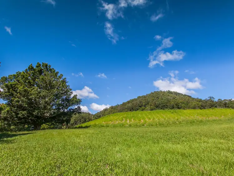 Sixth view of Homely land listing, 1864 Kyogle Road, Uki NSW 2484