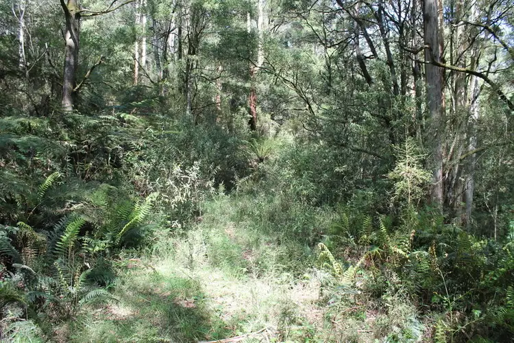 Seventh view of Homely rural property listing, 150 Jacksons Track, Gellibrand VIC 3239