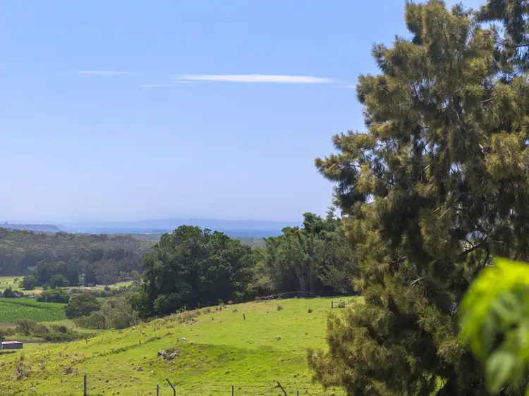 Third view of Homely house listing, 31 Thomas Street, Milton NSW 2538