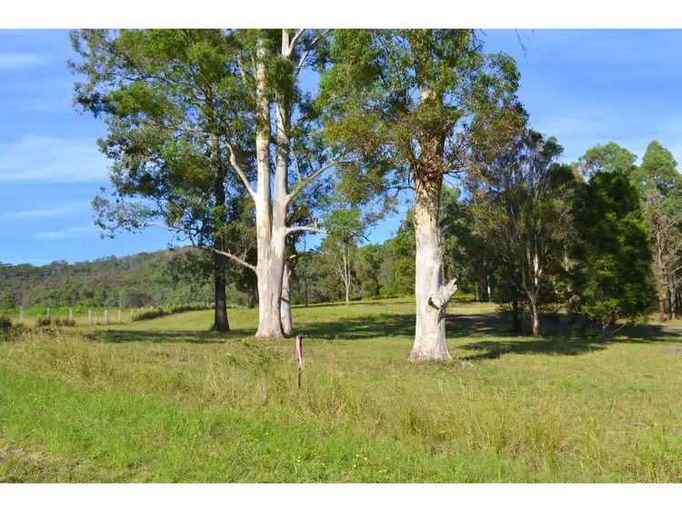 Third view of Homely rural property listing, 1281 Pappinbarra Road, Hollisdale NSW 2446