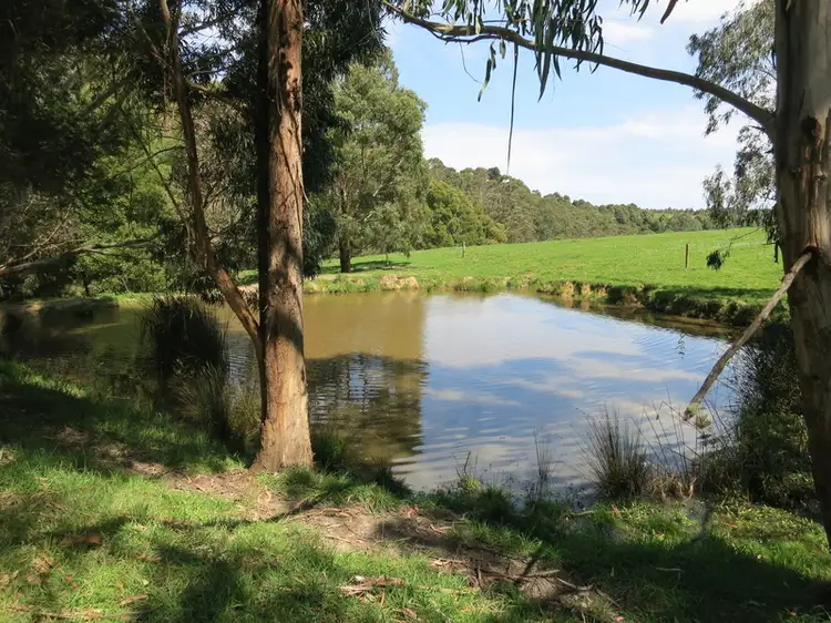 385 Aire Settlement Road, Johanna VIC 3238