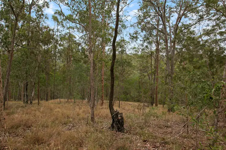 Second view of Homely land listing, 286 Nerang Murwillumbah Road, Clagiraba QLD 4211