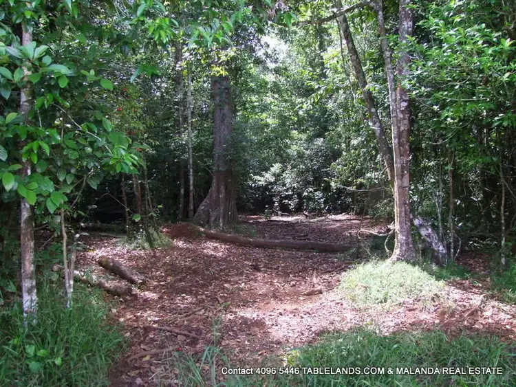 Main view of Homely rural property listing, F1143 Lot 549 Maalan Road, Millaa Millaa QLD 4886
