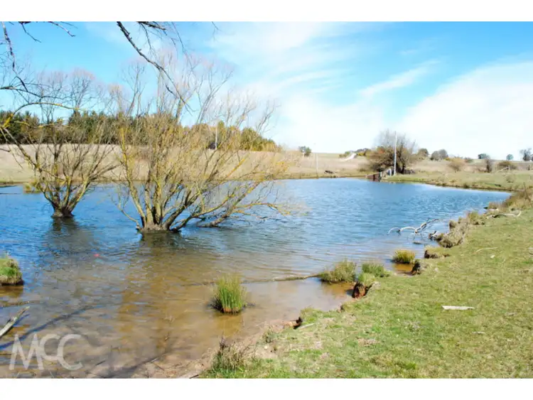 Third view of Homely rural property listing, 90 Tallwood Road, Millthorpe NSW 2798