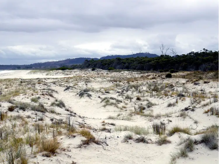 Fourth view of Homely rural property listing, Tasman Highway, Little Swanport TAS 7190