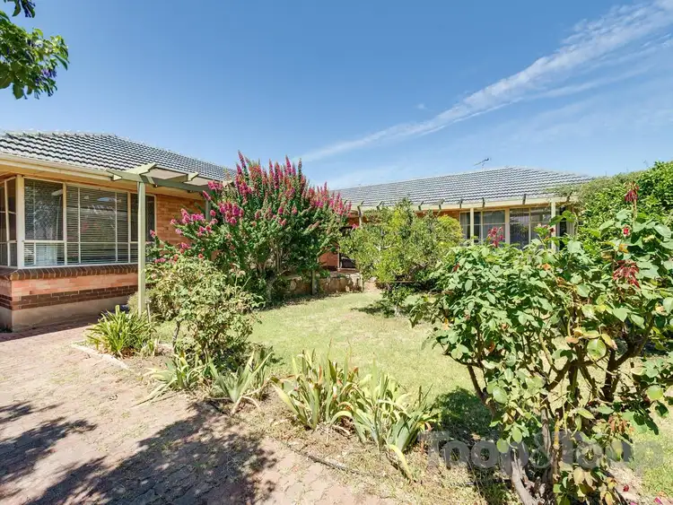 87 Arthur Street, Payneham South SA 5070