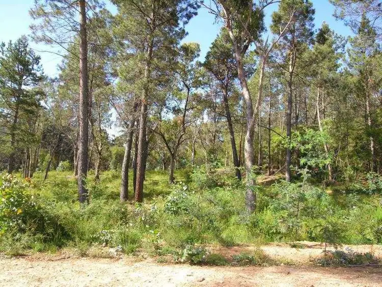 Third view of Homely land listing, Lot 9 Rifle Range Road, Jamieson VIC 3723