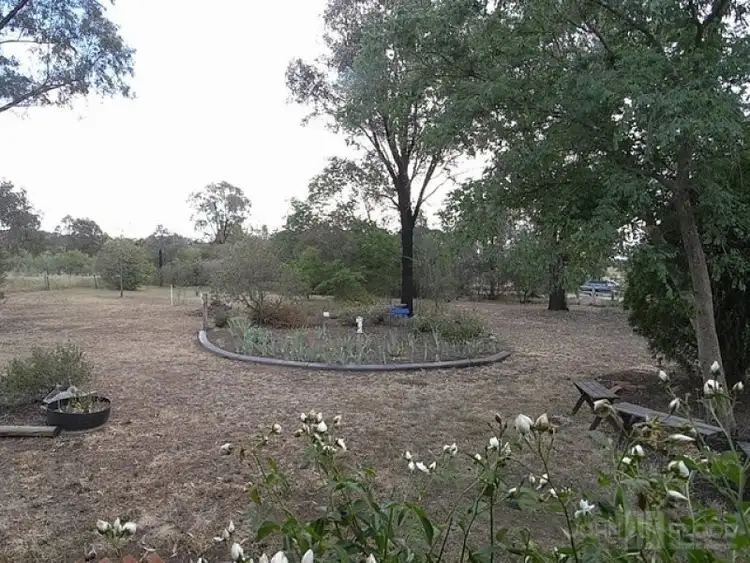 Sixth view of Homely rural property listing, 3005 Golden Highway, Gungal NSW 2333