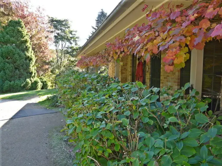 Second view of Homely rural property listing, Address available on request