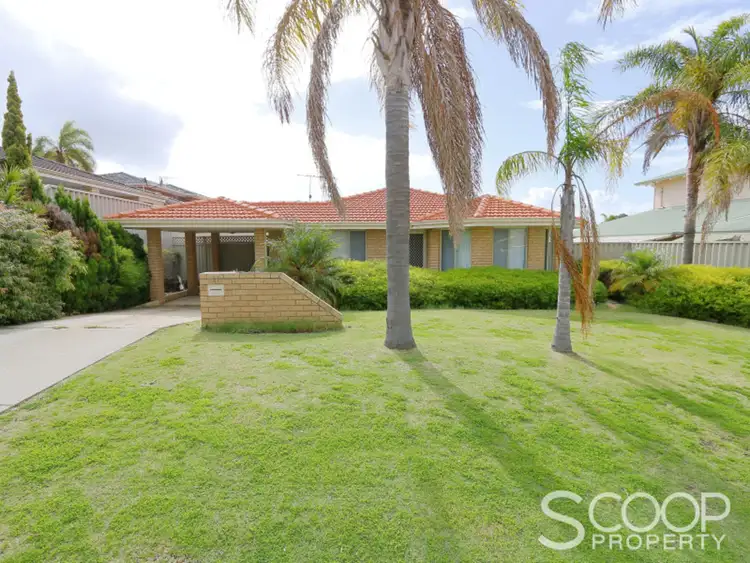 17 Bramston Street, Spearwood WA 6163