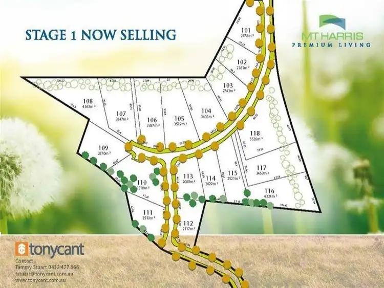 Second view of Homely land listing, LOT 110 Mount Harris Estate, Maitland Vale NSW 2320
