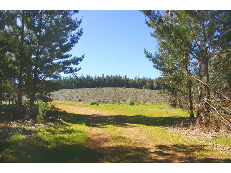Main view of Homely rural property listing, Via Walker Road, Noggerup WA 6225