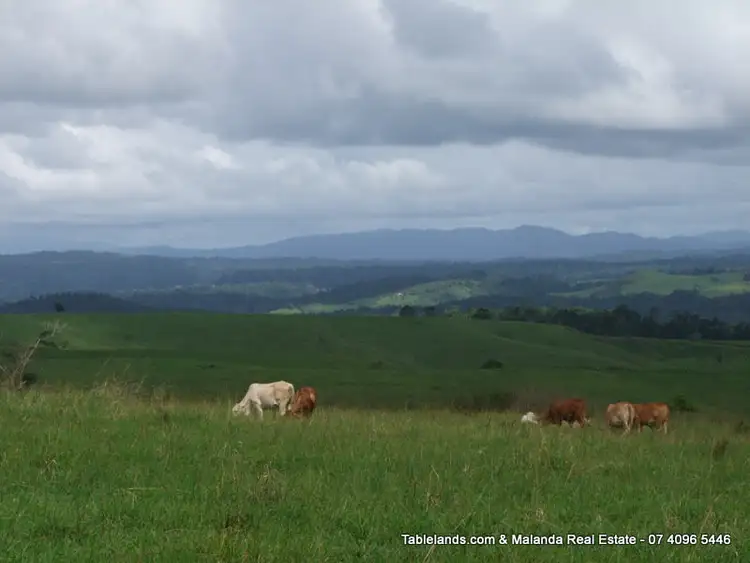 Third view of Homely land listing, LOT L736/Lot 9 Innisfail Road, Millaa Millaa QLD 4886