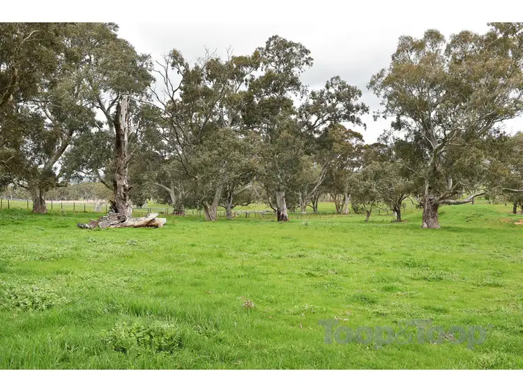 Fifth view of Homely rural property listing, 148 Claren Road, Meadows SA 5201