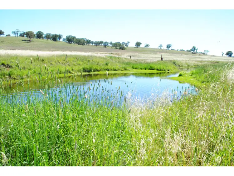4096 Henry Parkes Way, Manildra NSW 2865