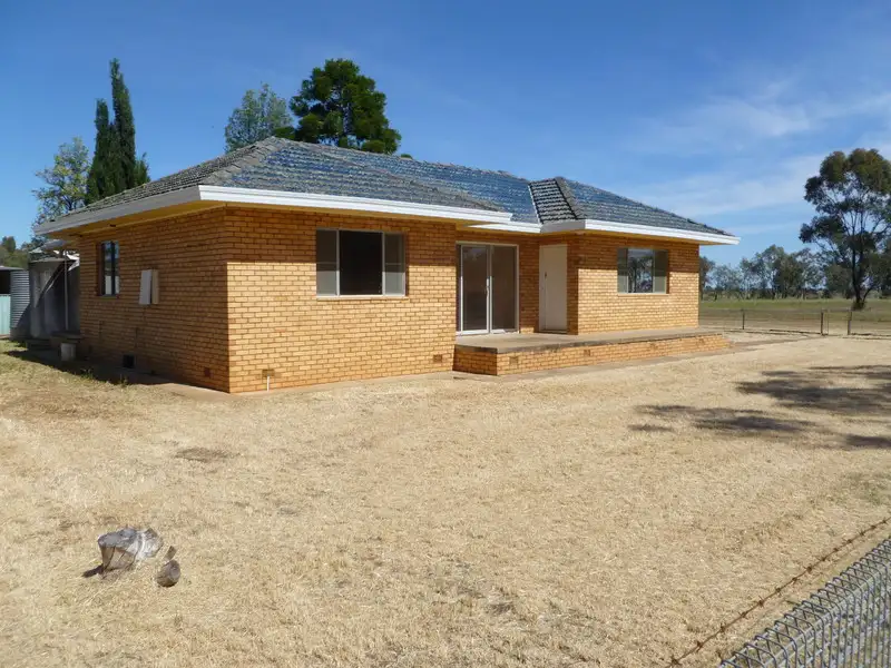 Main view of Homely rural property listing, 1126 Pinnacle Road, Garema NSW 2871