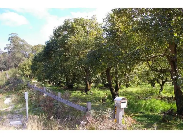 Fifth view of Homely land listing, 3321 Nelson Bay Road, Bobs Farm NSW 2316