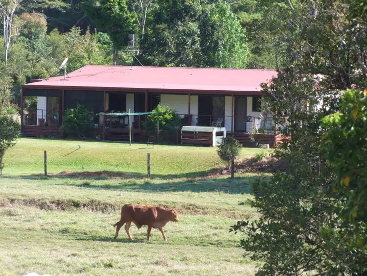 Second view of Homely rural property listing, F884/RN252 Maalan Road, Millaa Millaa QLD 4886