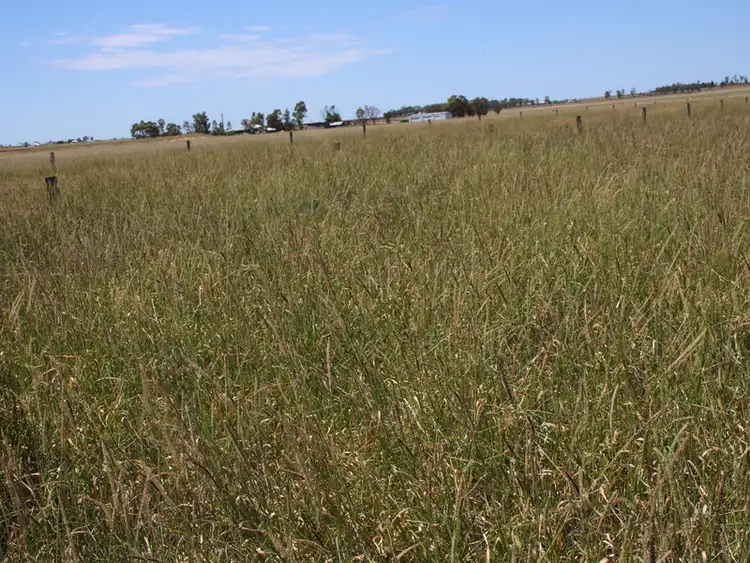 Third view of Homely rural property listing, Lot 6 Corner of Terra Bella and Weier Road, Clifton QLD 4361