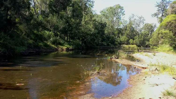 Second view of Homely rural property listing, 552 Geregarow Road, Shannondale NSW 2460