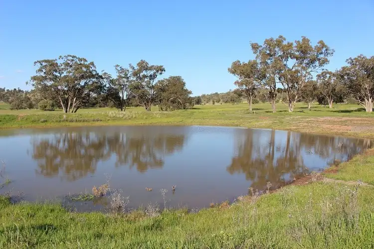Seventh view of Homely land listing, LOT 12 Mount Tallabung Road, Forbes NSW 2871