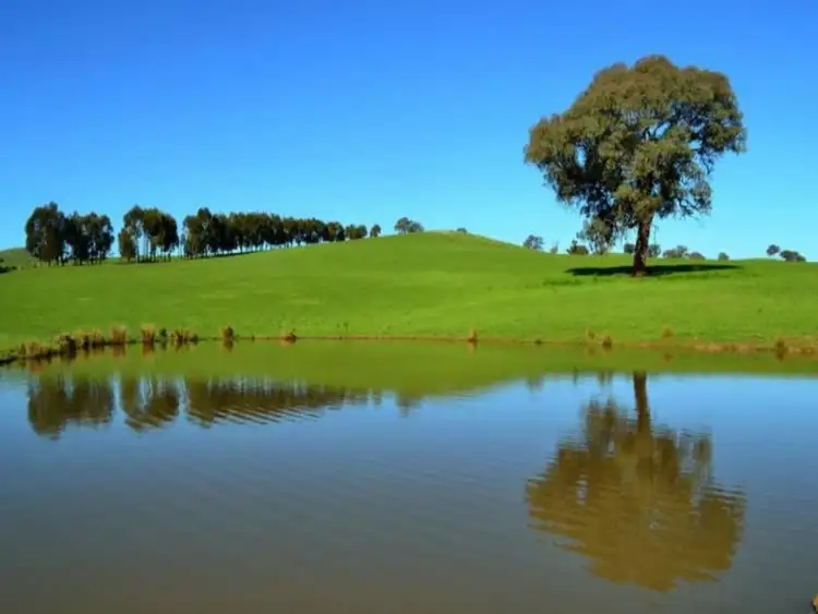 Seventh view of Homely rural property listing, 687 Monkey Gully Road, Mansfield VIC 3722
