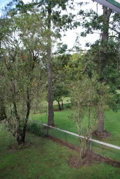Sixth view of Homely house listing, 64 Wardrop Street, Murwillumbah NSW 2484
