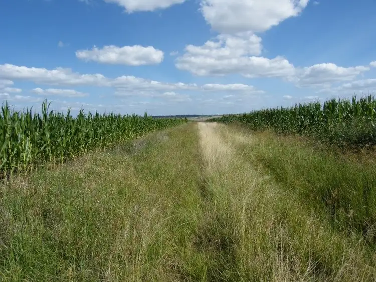 Third view of Homely rural property listing, Address available on request