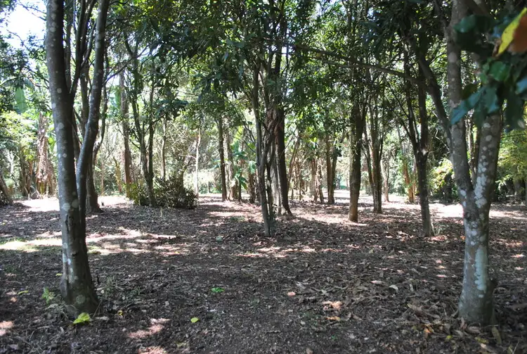 Seventh view of Homely land listing, 658-660 MAIN WESTERN Road, Tamborine Mountain QLD 4272